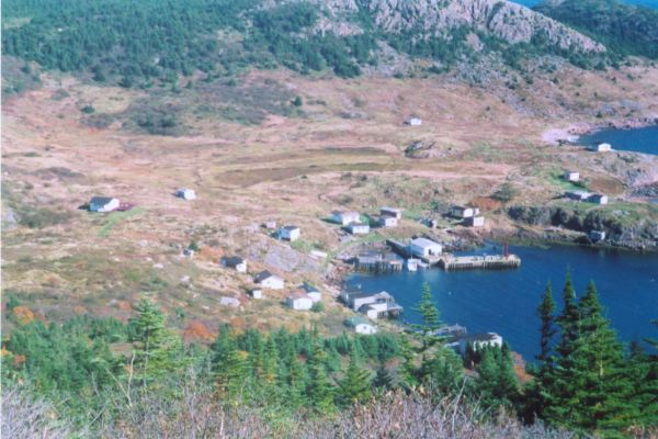 481: Red Island harbour taken from Ryan's Hill. (circa 2000) [courtesy of Madonna (Bishop) Mulrooney]